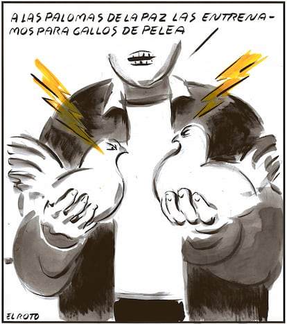 La ironía de la coexistencia: gallos y palomas en armonía