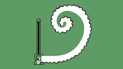 La belleza de la creación: cuando la simplicidad inspira