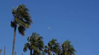 El respeto mutuo y la comprensión activa son fundamentales para una sociedad inclusiva. (Fuente: El Periódico)