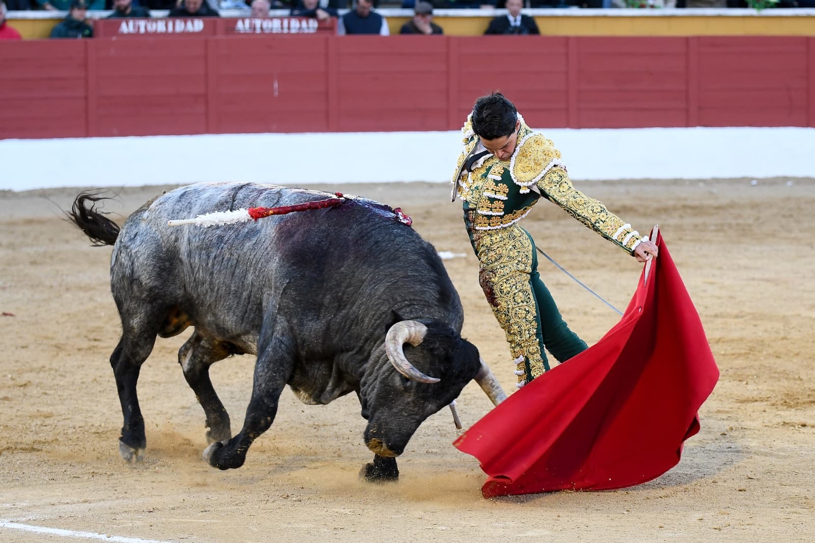 Triunfo de Mario Navas en la inauguración de la Copa Chenel