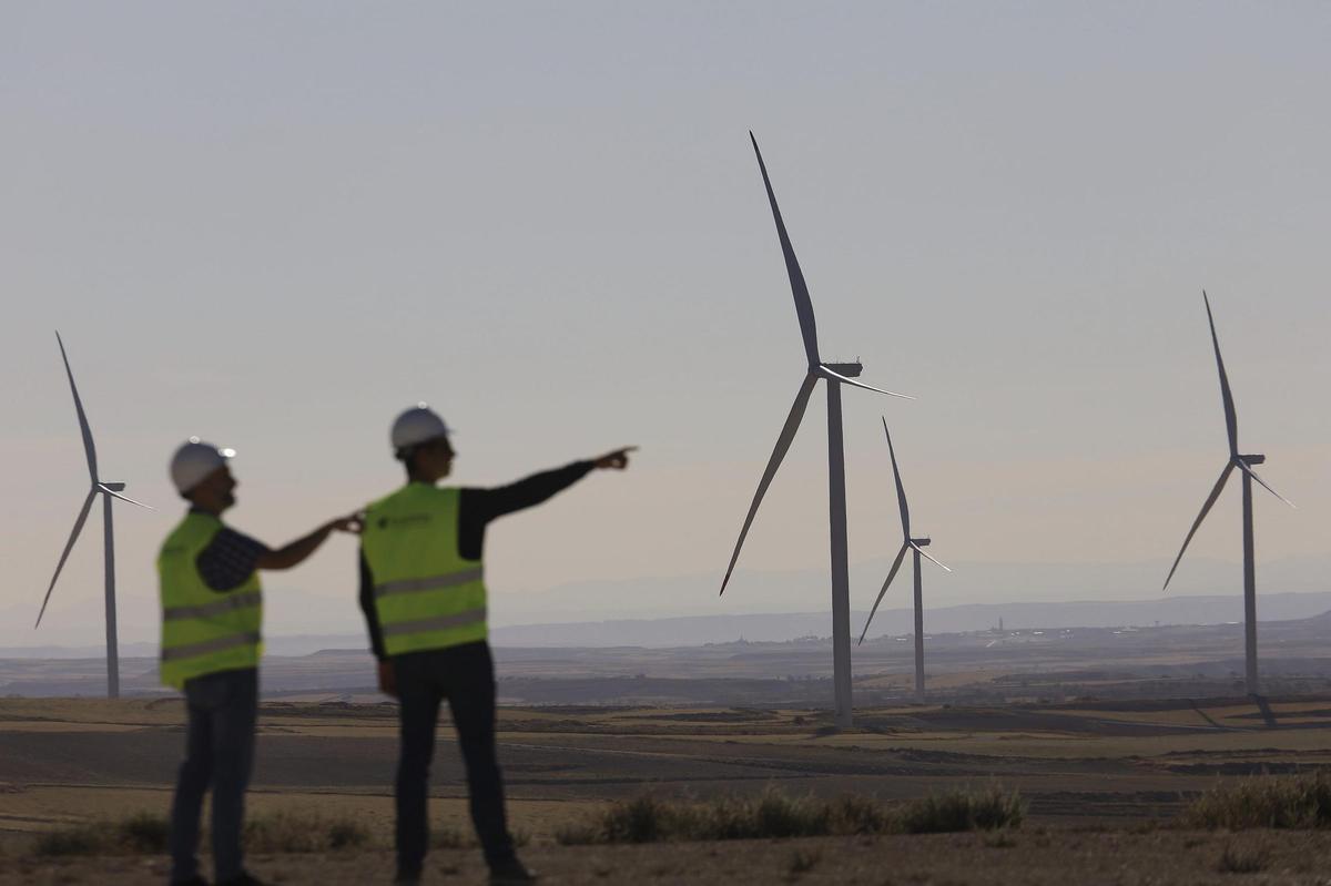 El ascenso y la sombra de Forestalia: la empresa que revolucionó las energías renovables en España