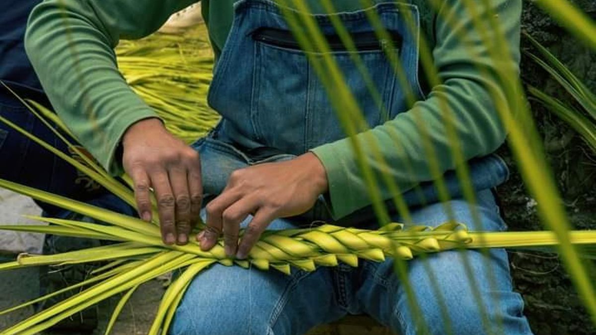 El simbolismo detrás de las palmas del Domingo de Ramos: tradición y arte