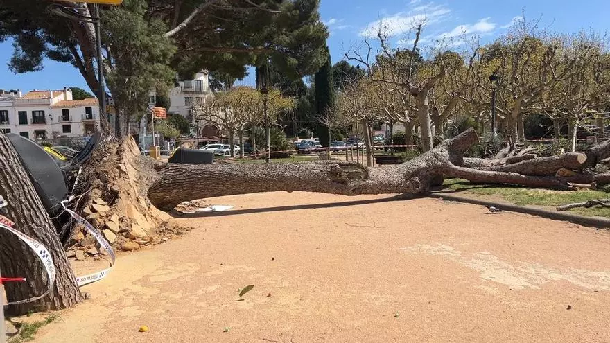 Ciclistas en acción durante la Volta a Catalunya (Fuente: El Periódico)