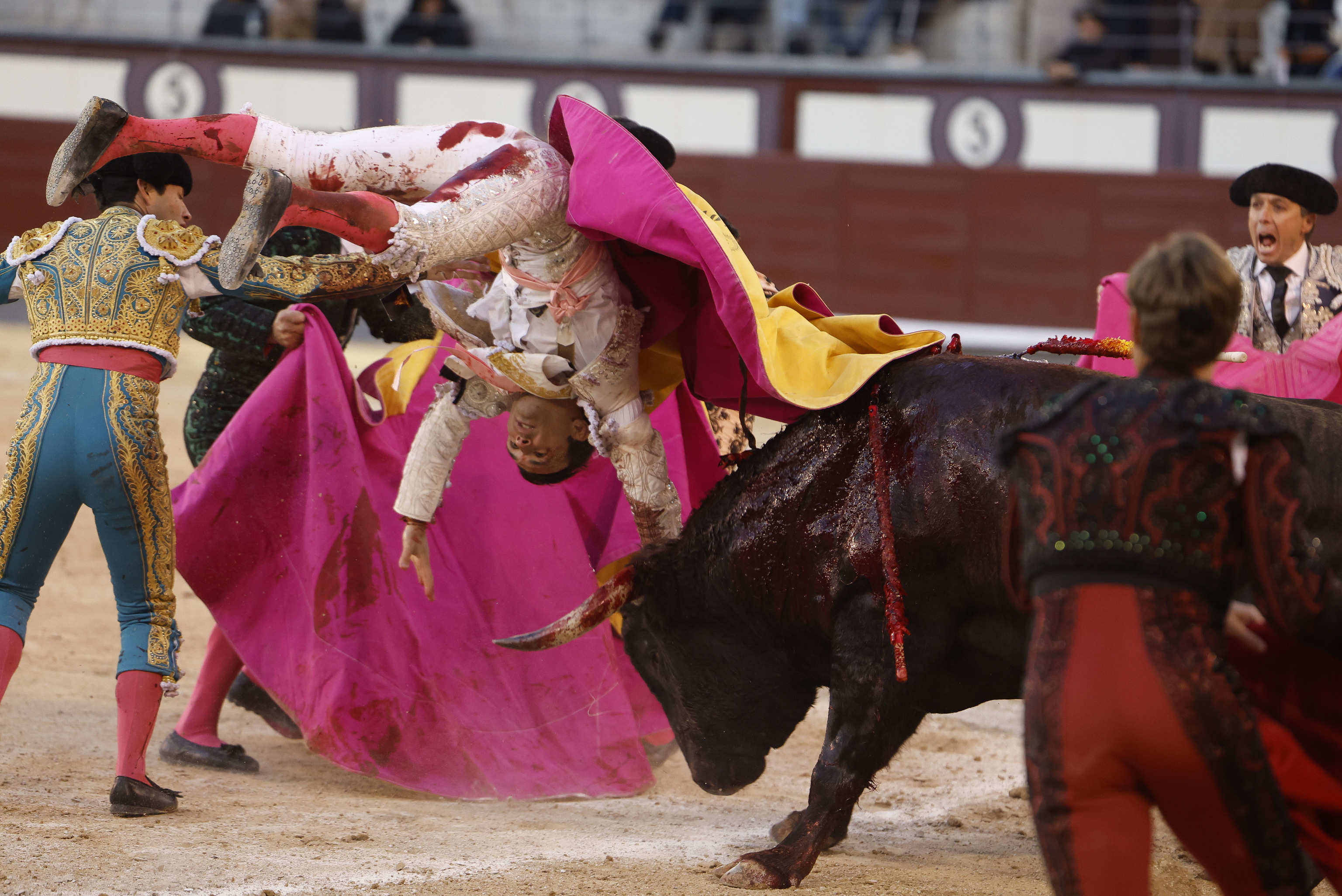Terror en Las Ventas: Cristian Pérez sufre aparatosa cogida en una tarde de viento y emociones fuertes
