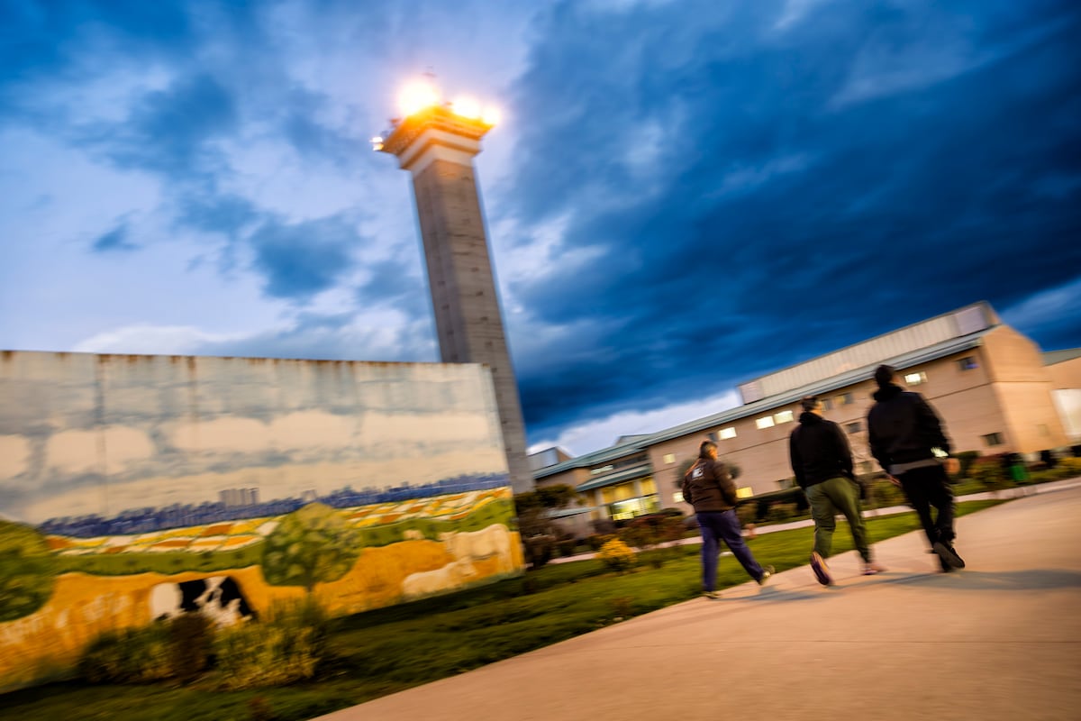 El Constitucional refuerza el derecho de defensa: tres sentencias que marcan un precedente