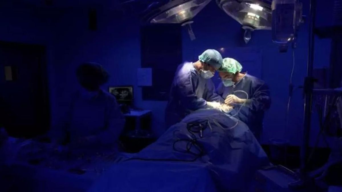 Sanidad canaria condenada por intento de 'echar' a cirujana que denunció acoso laboral