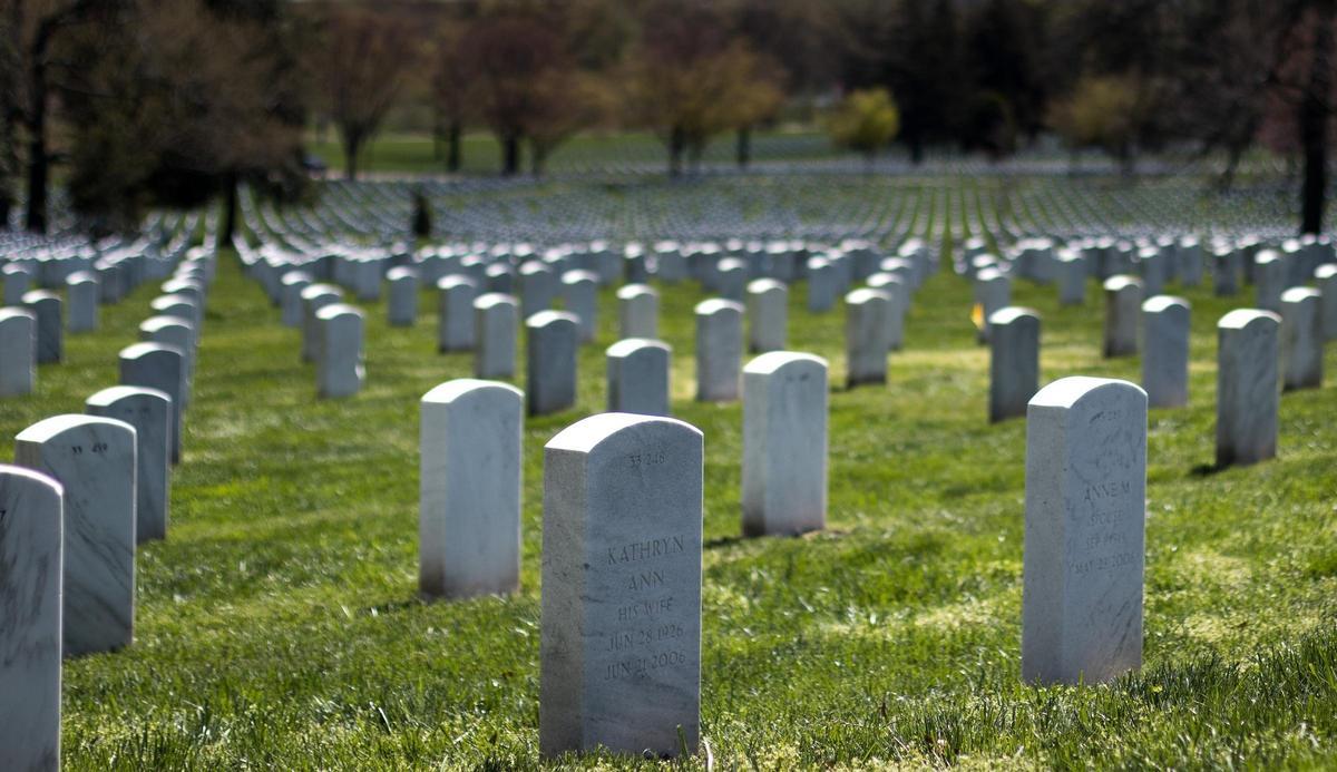 El animal que supera a la guerra en número de víctimas mortales