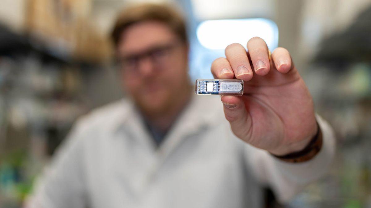 Implante revolucionario: una 'farmacia viviente' que produce medicamentos dentro del cuerpo