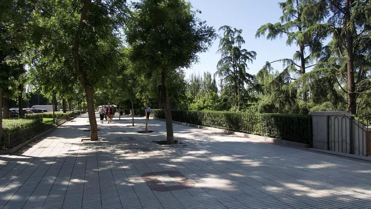 El Paseo del Pintor Rosales, una de las zonas más exclusivas de Madrid, donde reside Pedro Almodóvar. (Fuente: El Periódico)