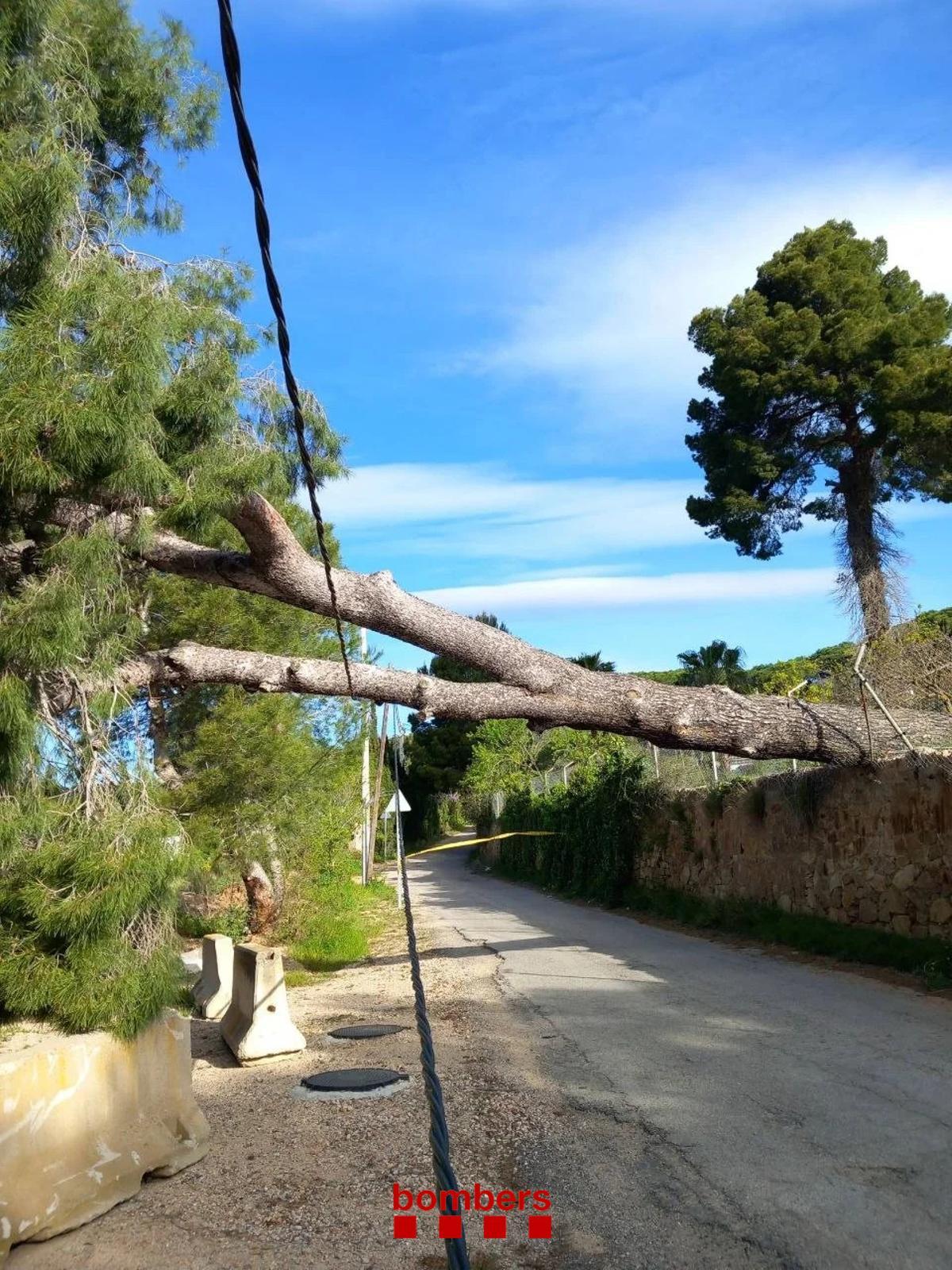 La tramuntana sigue azotando Girona: rachas de hasta 158,4 km/h en Portbou