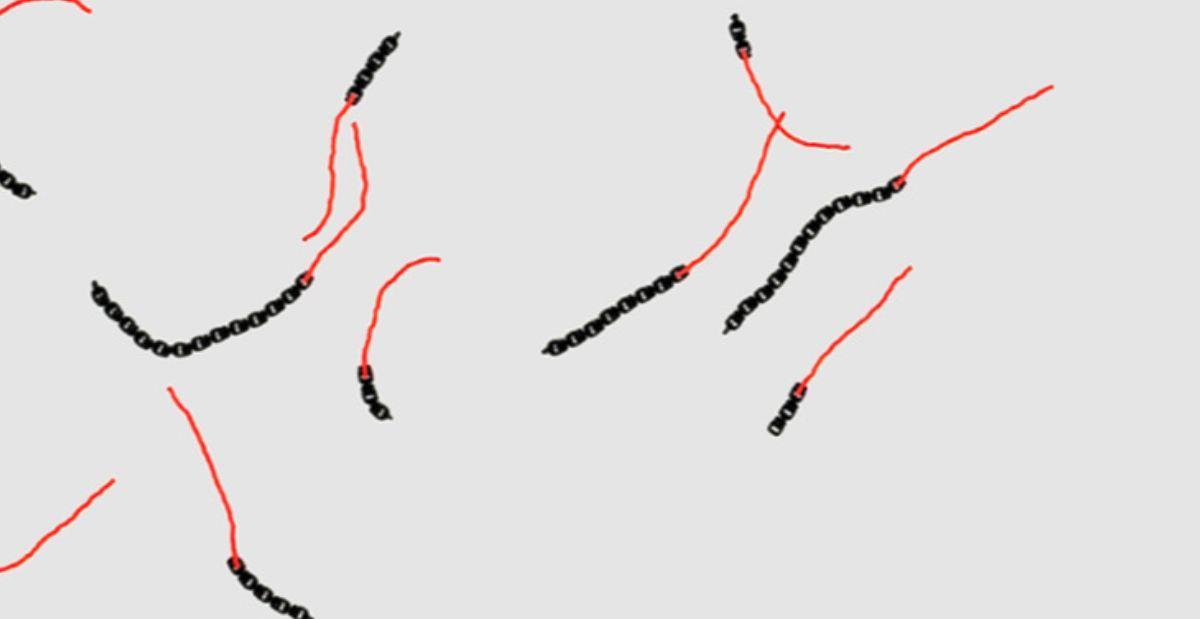 Microrrobots impresos en 3D: ¿la nueva frontera de la robótica viva?