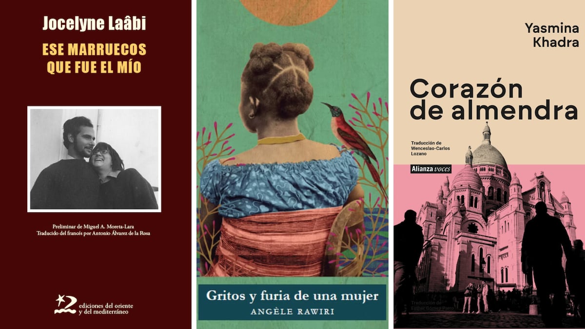 Descubre la diversidad de la literatura africana: 8 libros que exploran la libertad y la justicia