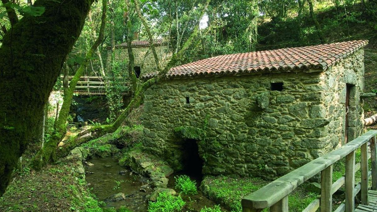 Descubre la ruta de senderismo en Galicia perfecta para Semana Santa: Muíños do río Medio