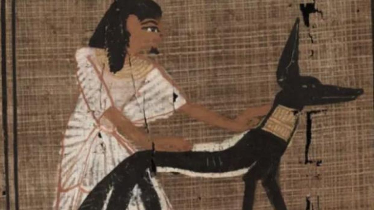 Descubren cómo los escribas del antiguo Egipto corregían errores en papiros con una especie de típex