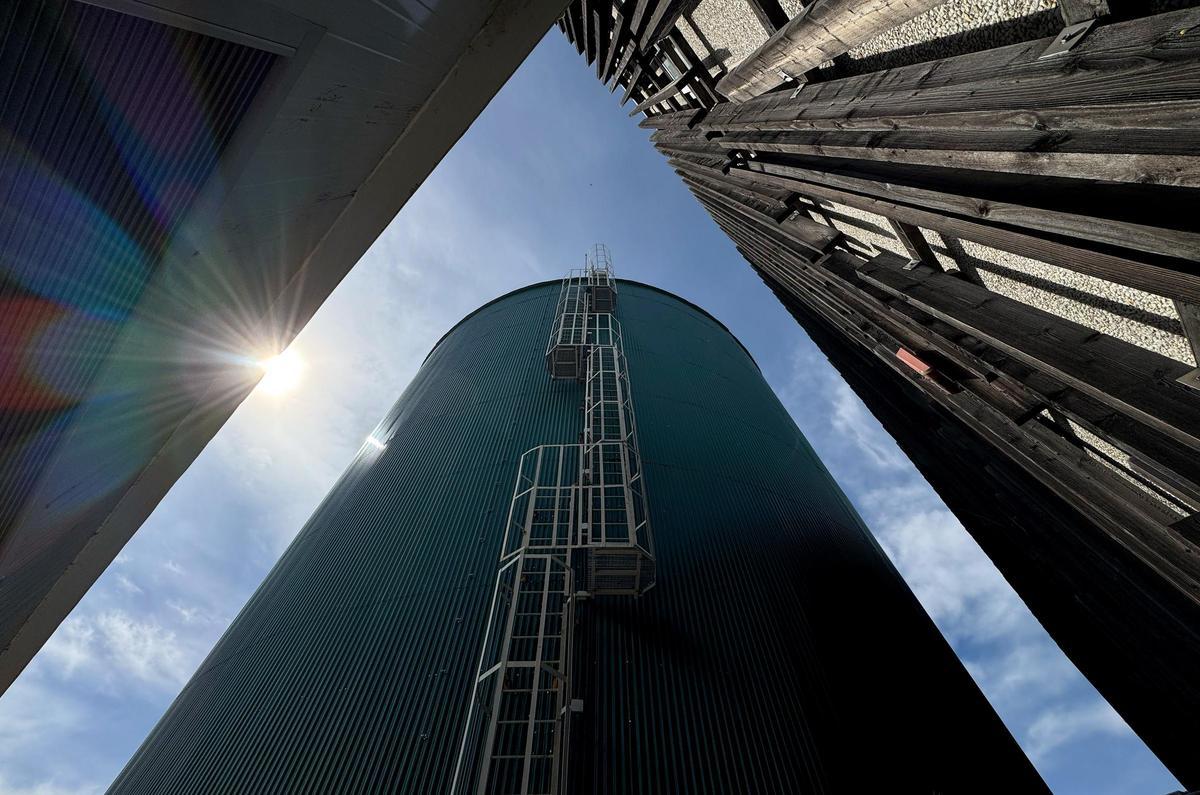Descarga de astillas en el silo de la central de Móstoles, donde se almacenan para ser quemadas en las calderas. (Fuente: El Periódico)