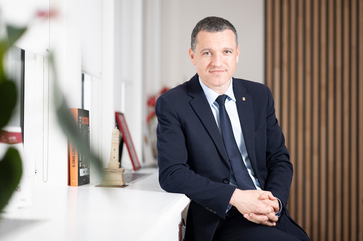 La lucha contra la peste porcina africana en Cataluña: 'Matar jabalíes es la única solución'