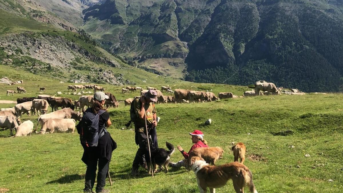 La Estiva: La Escuela Aragonesa que Revoluciona la Formación de Pastores
