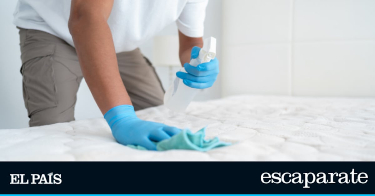 Adiós a Ácaros y Chinches con Sanytol: El Espray Top Ventas en Amazon