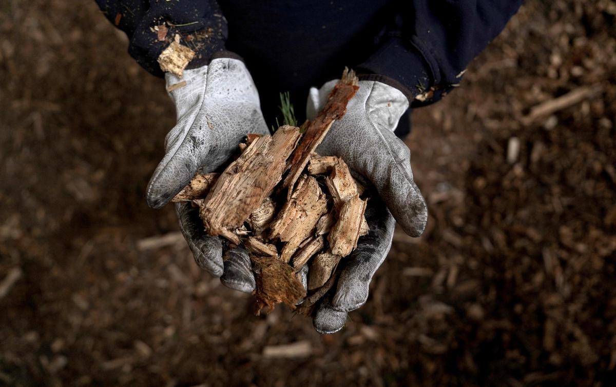 La biomasa en España: un combustible sostenible en el patio de casa