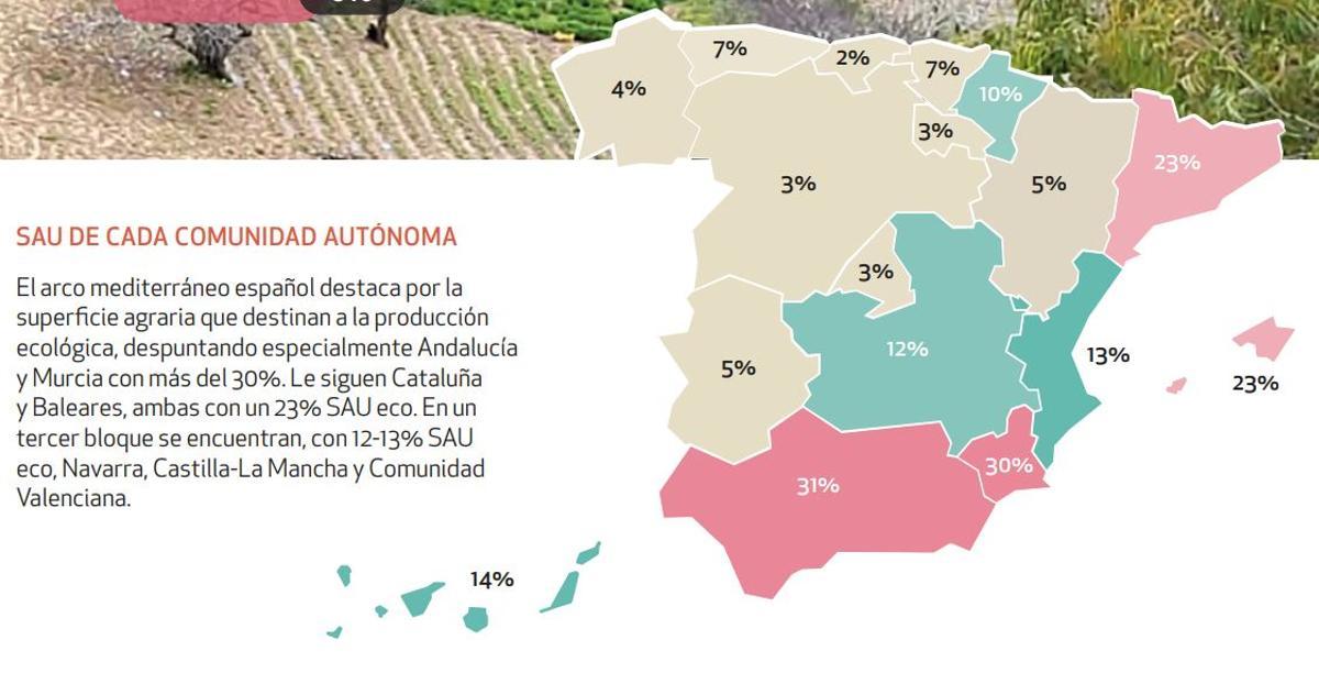 España mantiene su liderazgo en producción de alimentos ecológicos en Europa (Fuente: El Periódico)