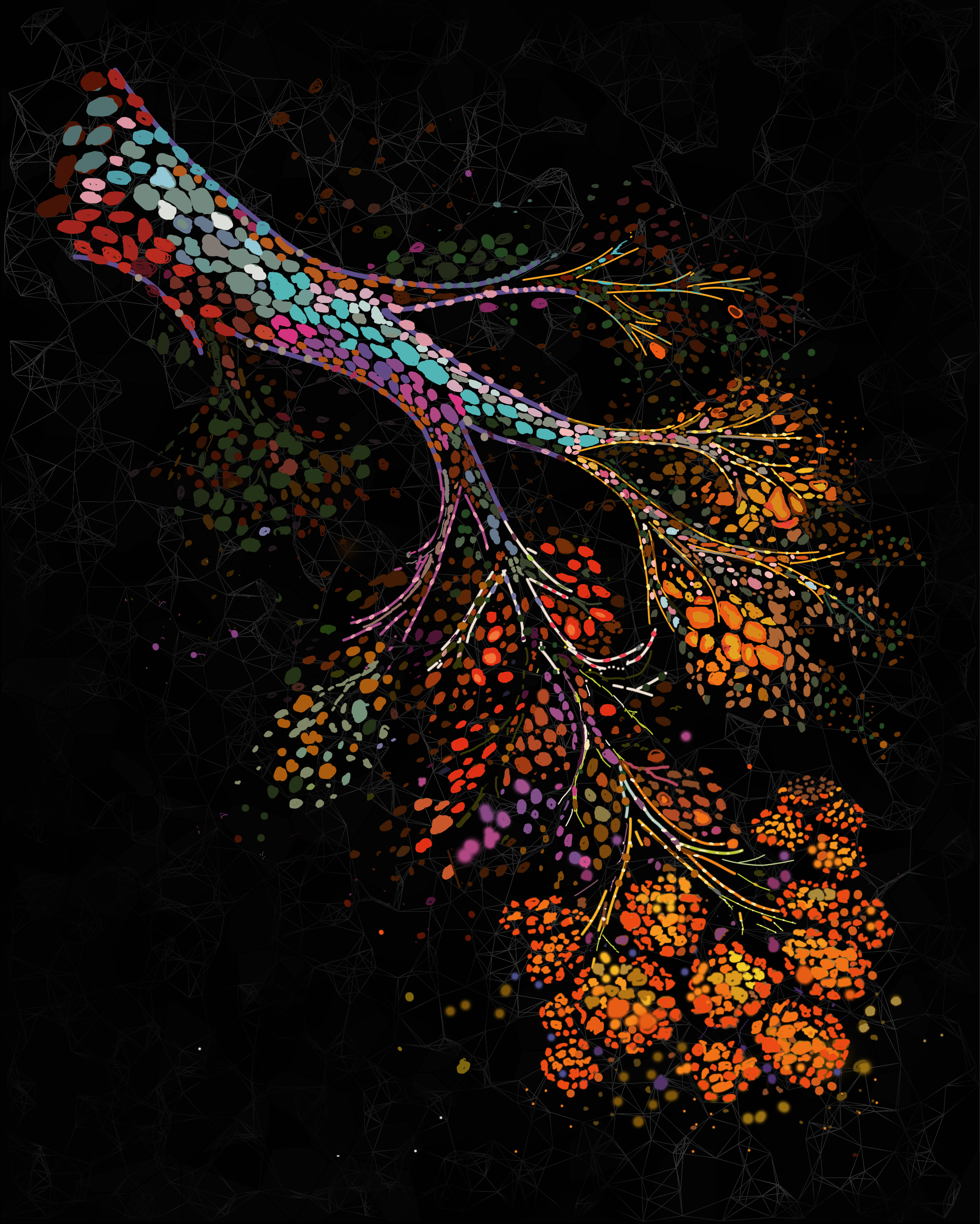 Un micrografía de tejido mamario que muestra cambios en la estructura con la edad. (Fuente: El Mundo)
