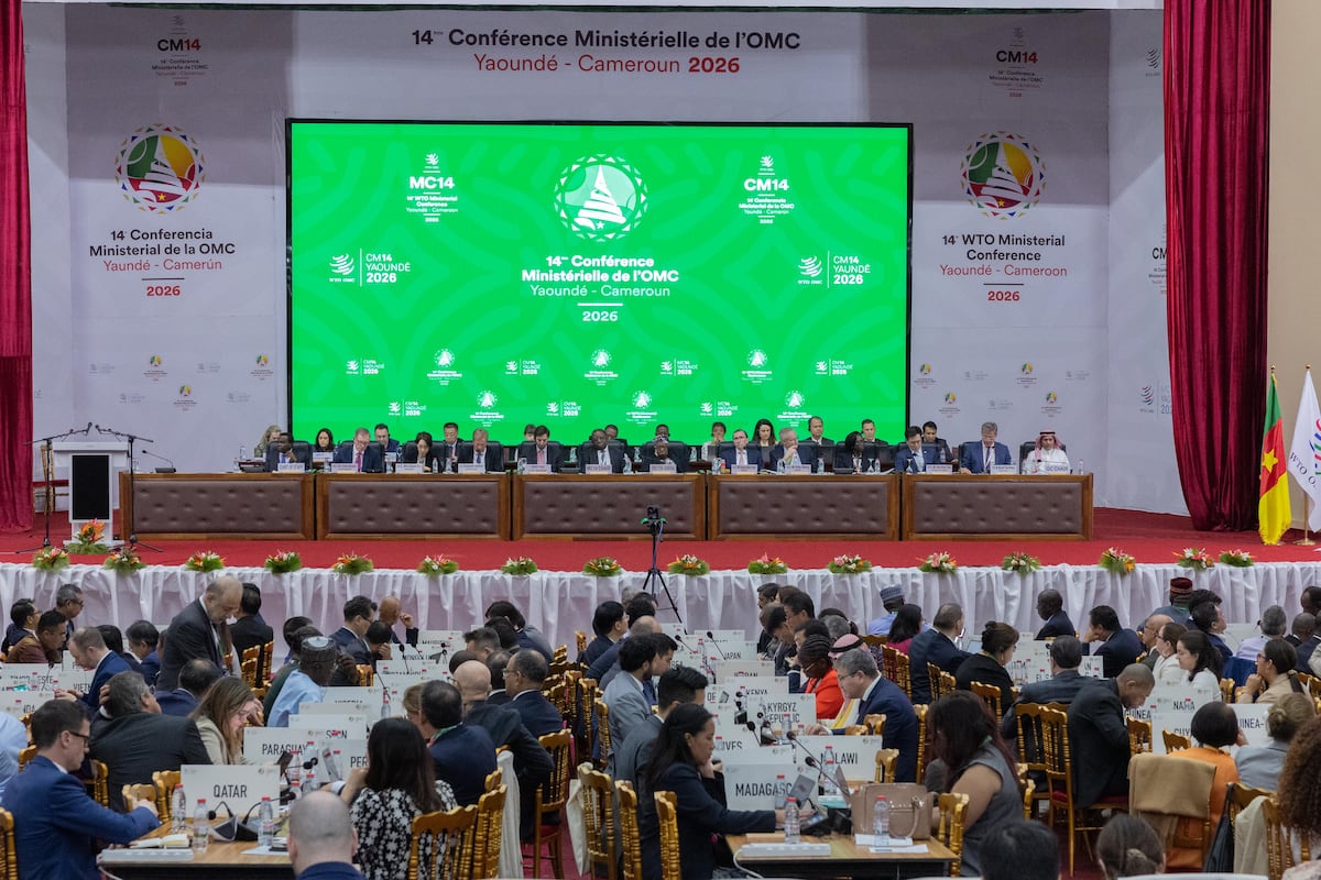 México busca fortalecer su posición en la OMC con reglas de origen y nuevas inversiones