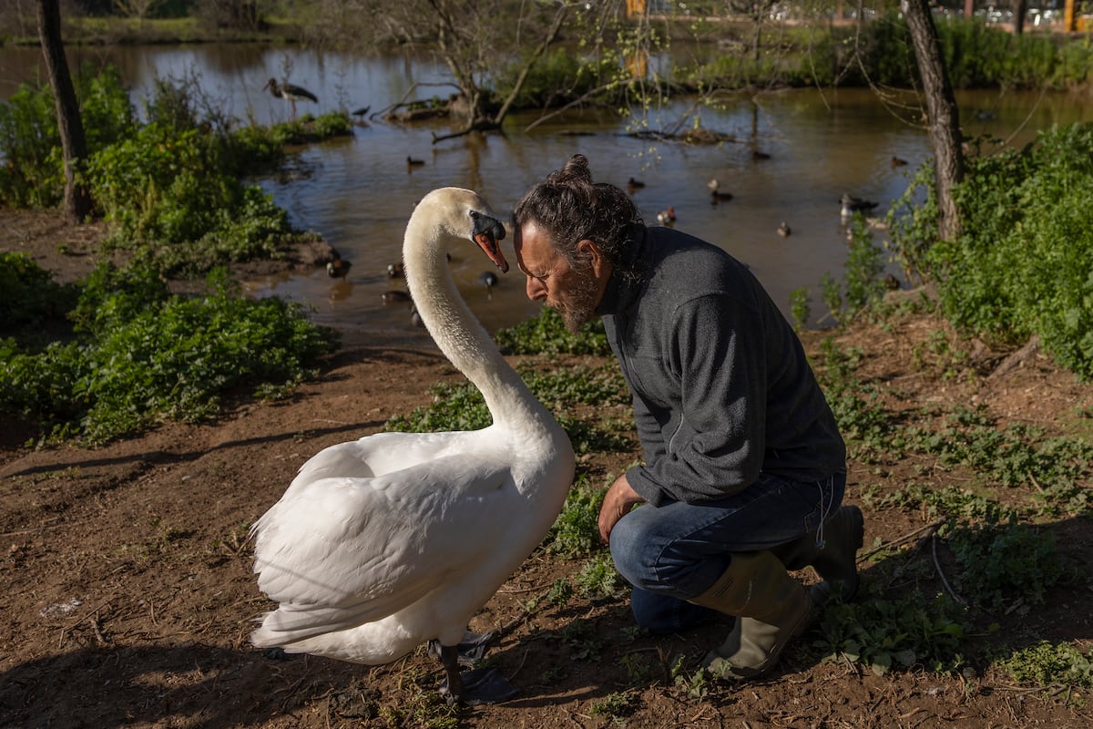 La Cañada de los Pájaros en peligro de extinción: un refugio de aves en vilo
