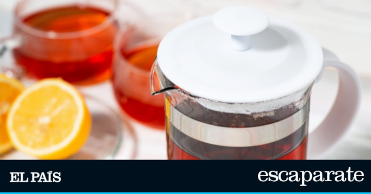 Botellas térmicas y jarras con infusor: las mejores opciones para mantener tus bebidas frescas