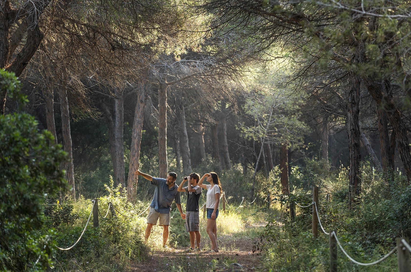 Descubre el secreto natural cerca de Barcelona: un bosque protegido solo accesible 10 días al año