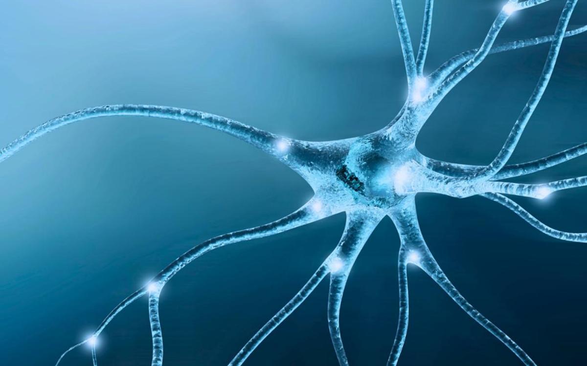 La neuropediatra Ariadna Sánchez destaca la importancia del diagnóstico precoz del autismo