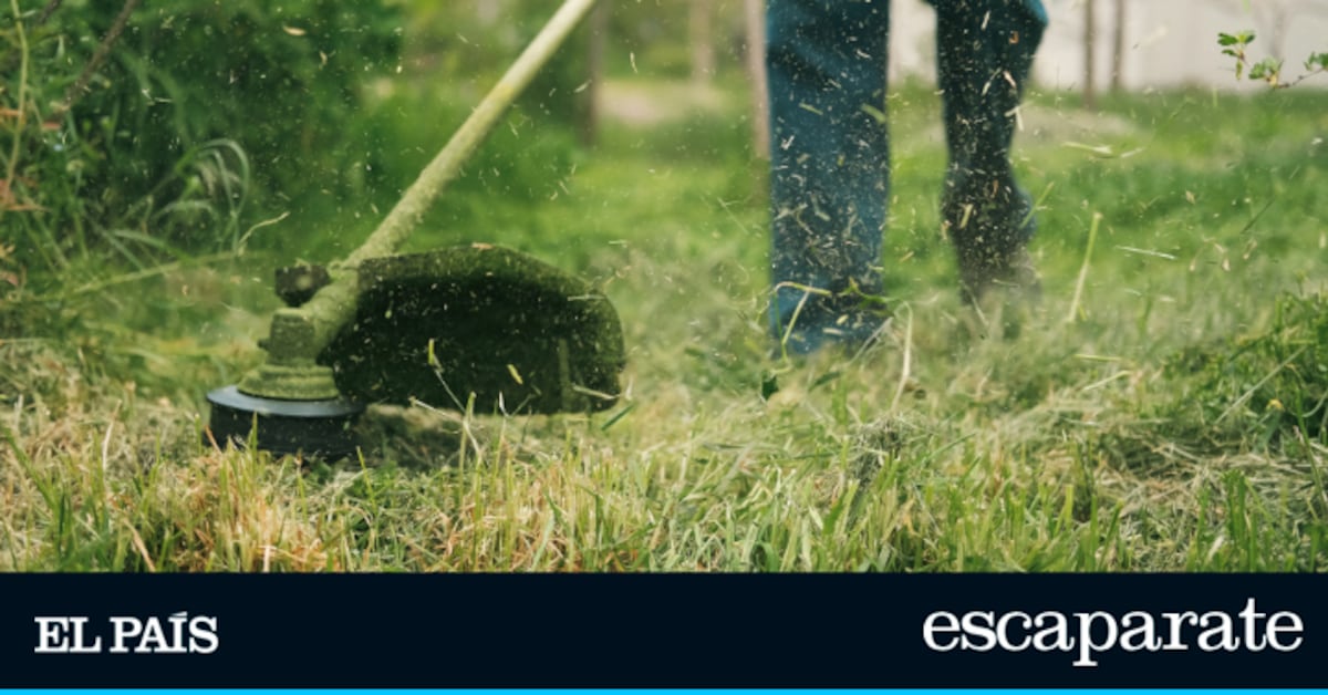 Las mejores desbrozadoras eléctricas de Amazon para un jardín impecable en 2026