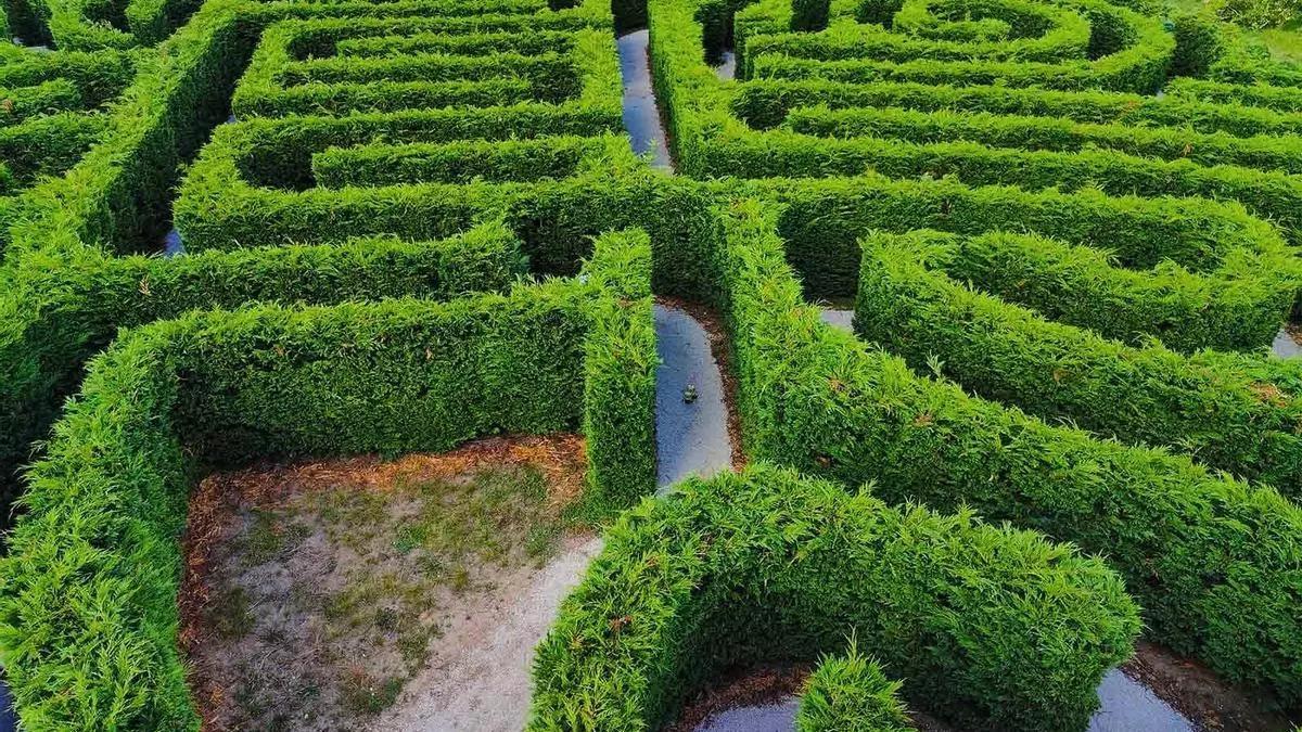 Reabre el laberinto más grande de España: un desafío de 6000 metros cuadrados