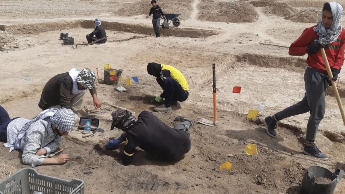 Descubierta la ubicación exacta de Alejandría del Tigris, fundada por Alejandro Magno