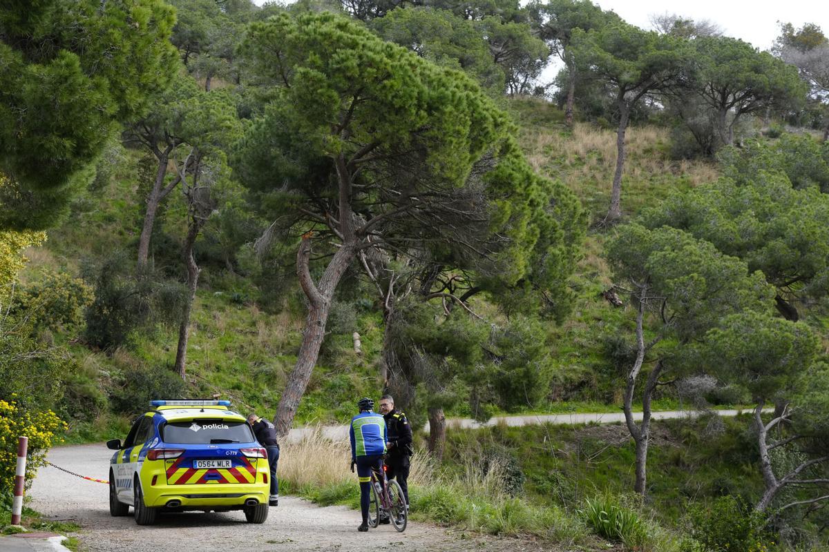 La Generalitat refuerza la protección contra la peste porcina con una tercera barrera de seguridad