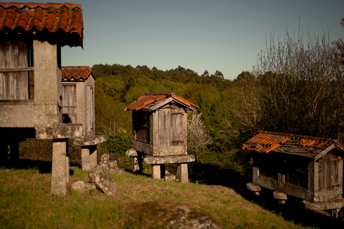 El Gobierno lanza el programa 5G Redes Muy Rurales para conectar zonas blancas móviles