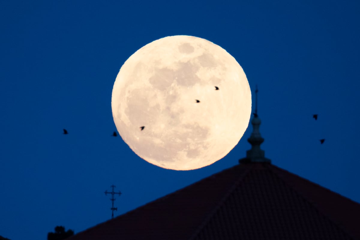 Cinco curiosidades sobre la Luna: ¿De quién es y qué secretos guarda?