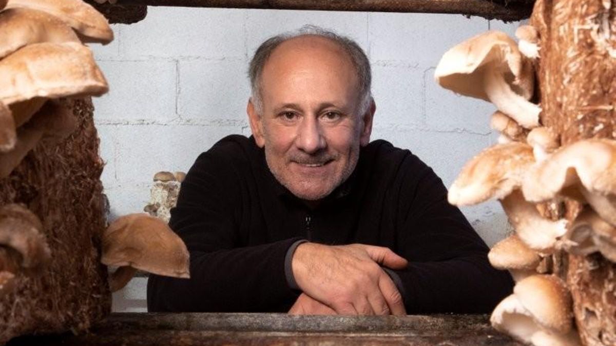 El auge del Shiitake sostenible en La Rioja: de Barcelona 92 a la producción ecológica