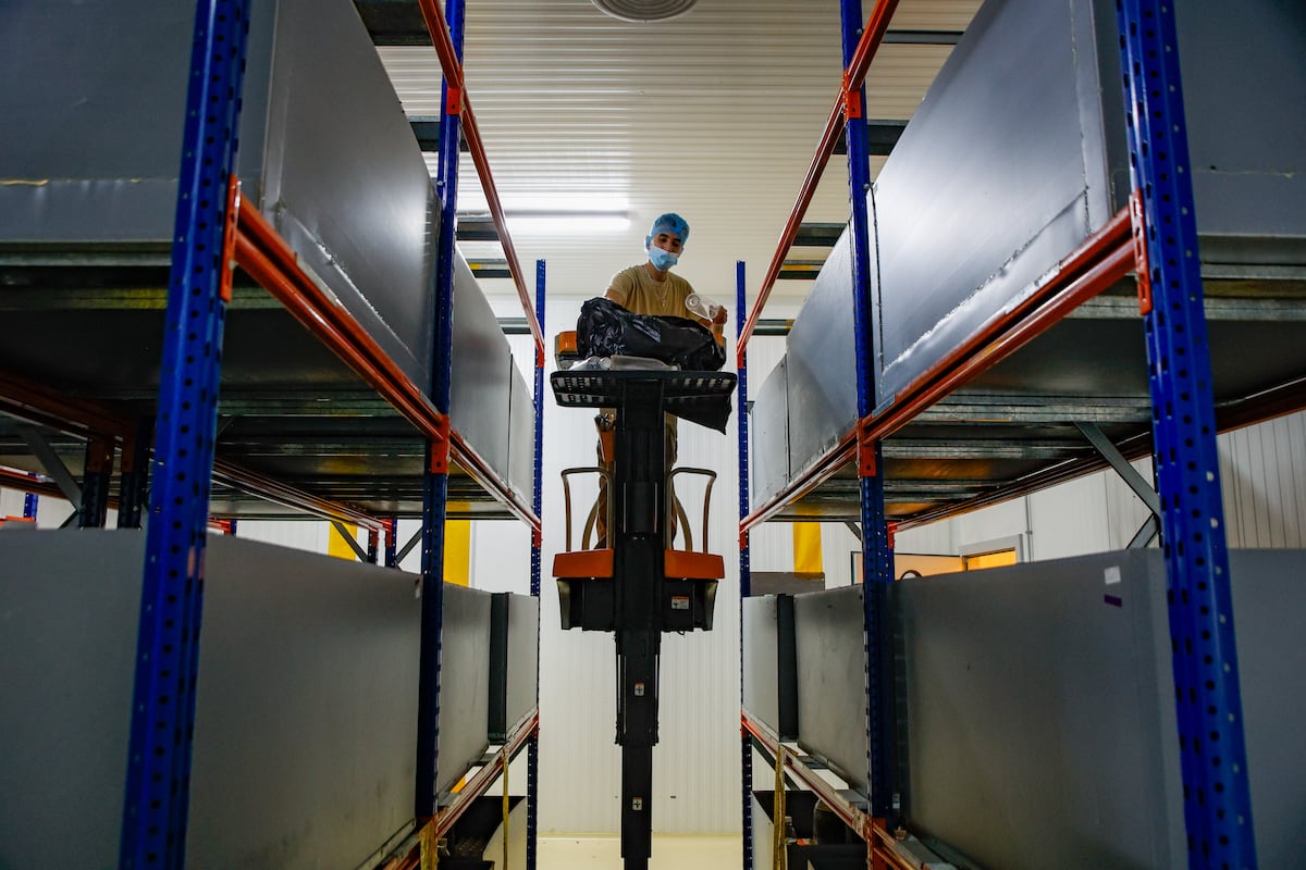 La participación de los trabajadores en los beneficios empresariales: una reforma necesaria