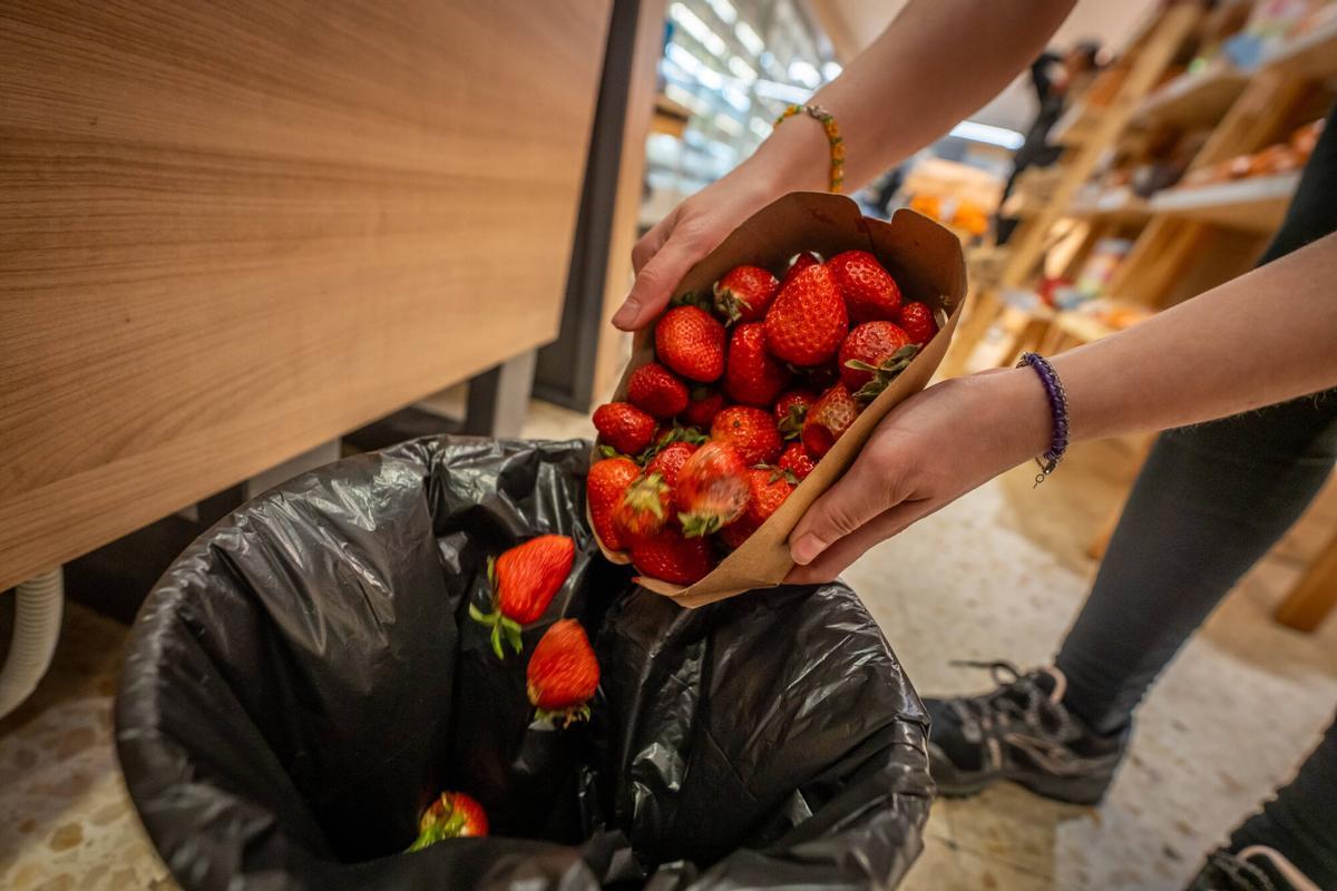Multas de hasta 500.000 euros para empresas que no reduzcan el desperdicio alimentario