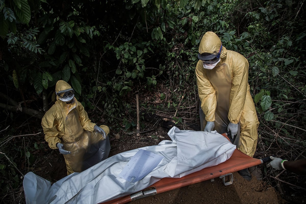 La fiebre de Lassa: un reto sanitario persistente en África Occidental