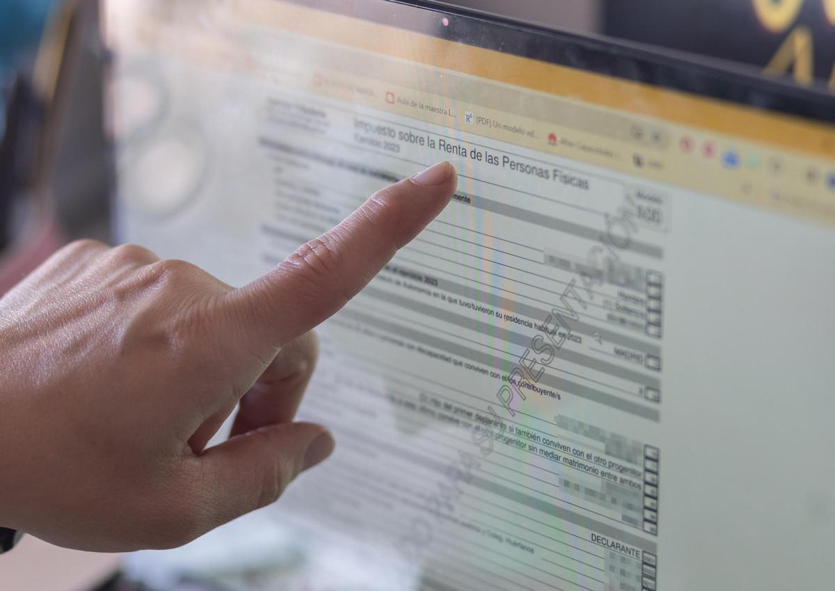 Persona revisando la declaración de la renta en un ordenador (Fuente: El Periódico Economía)
