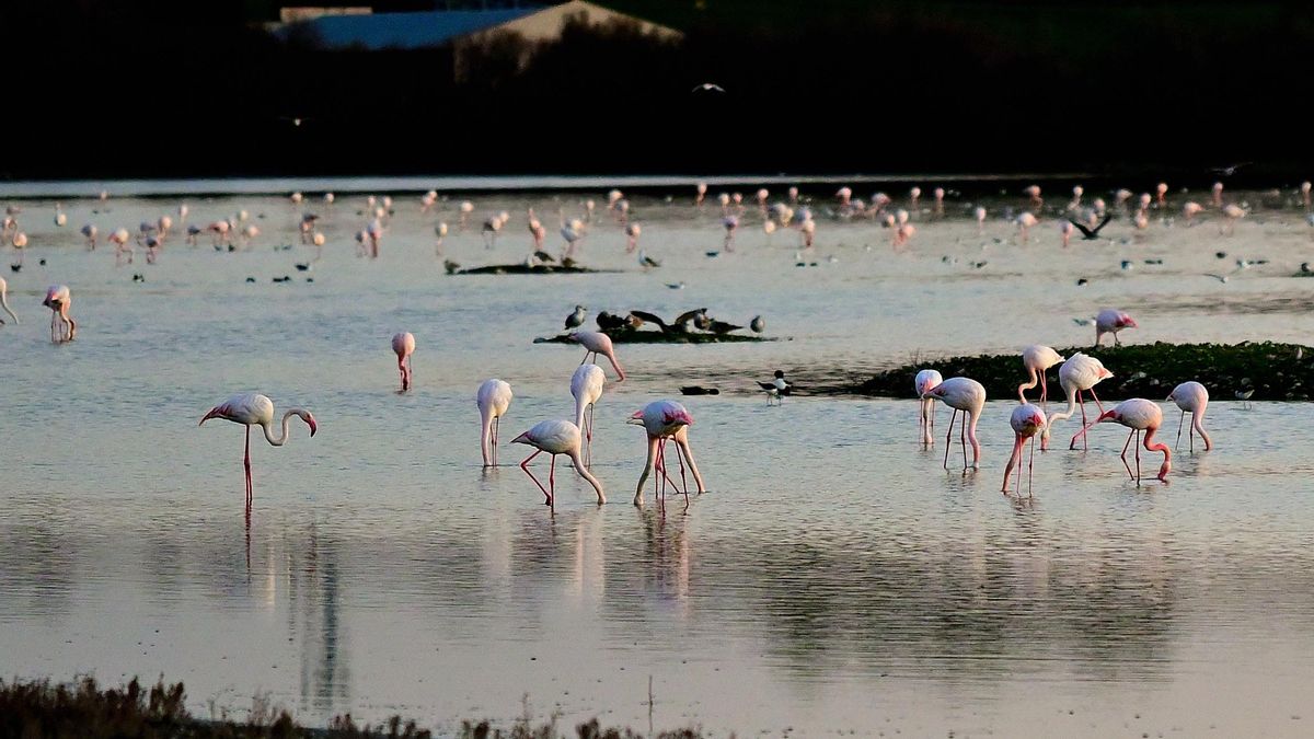 La Inesperada: la laguna mágica de Ciudad Real que aparece en otoño y desaparece en verano