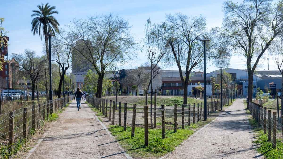 La Riera de Sant Simó de Mataró después de completar el proyecto de renaturalización con nuevas plantaciones de árboles y arbustos
