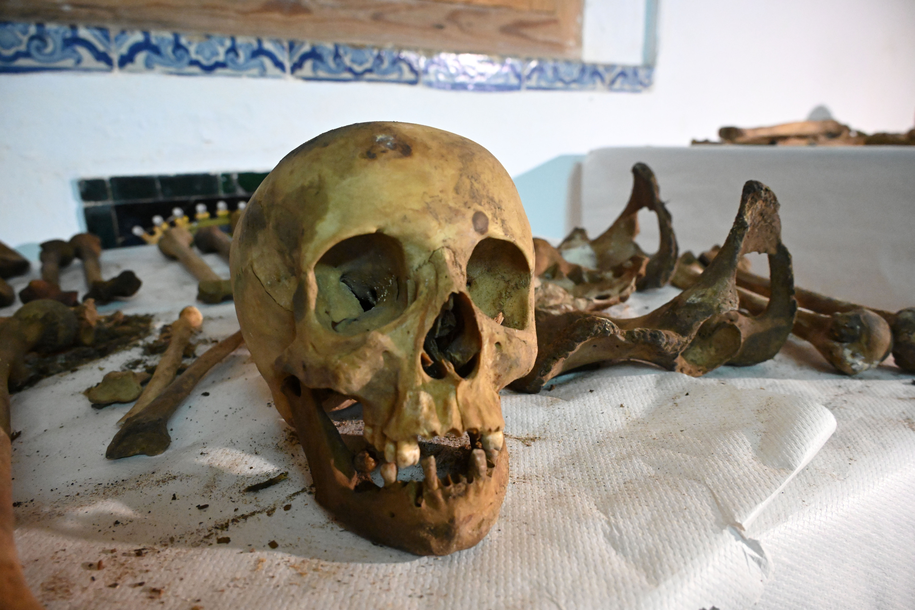 ADN de restos de Colón coincide con familias Zúñiga y Sotomayor y refuerza origen gallego