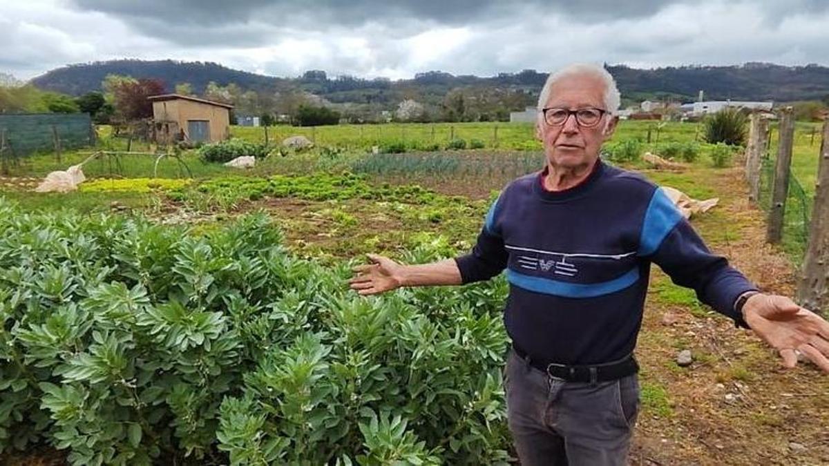 Tino Menéndez, 85 años, recibe analítica perfecta y sigue cultivando en Grado