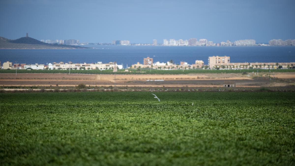 Vista del embalse y canal del trasvase Tajo‑Segura en plena operación