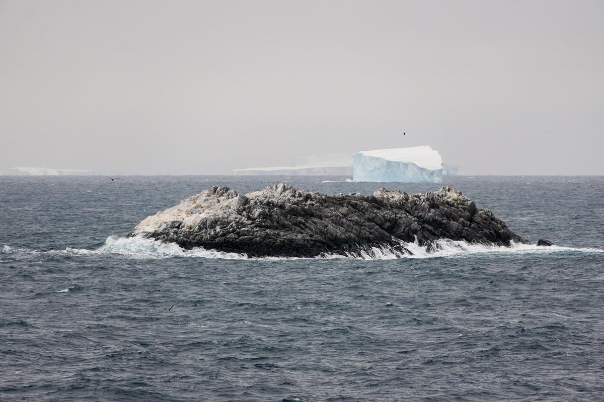 Vista de la nueva isla emergida en el Mar de Weddell, con rocas sobresaliendo del agua