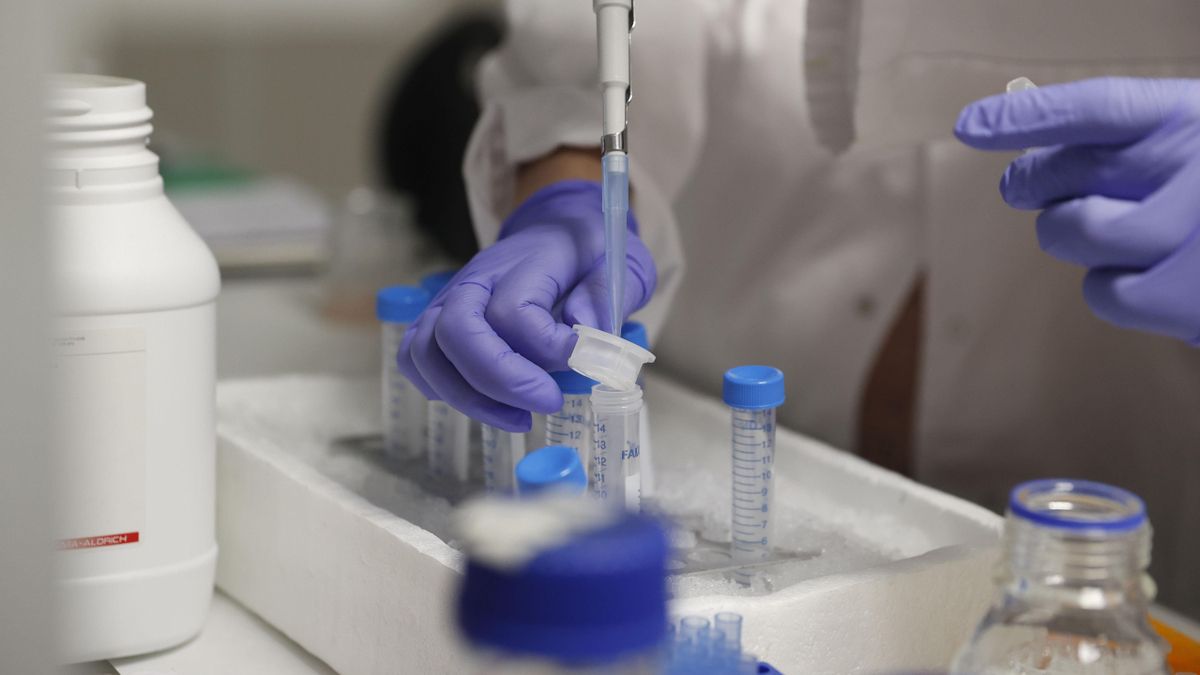 CRISPR da la vida a los primeros bebés editados: el caso de Lulu y Nana