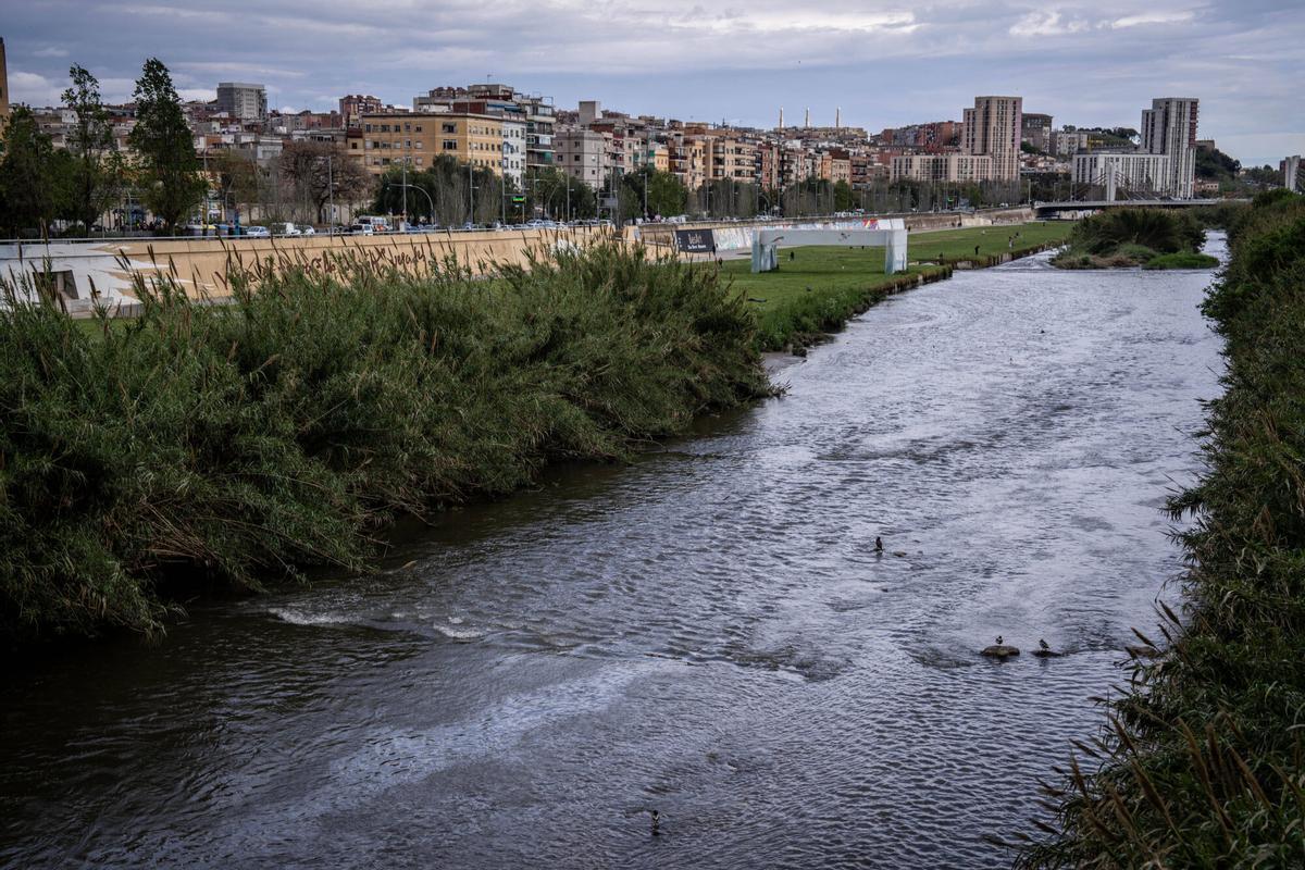 Estación de Tratamiento de Agua Potable del Besós
