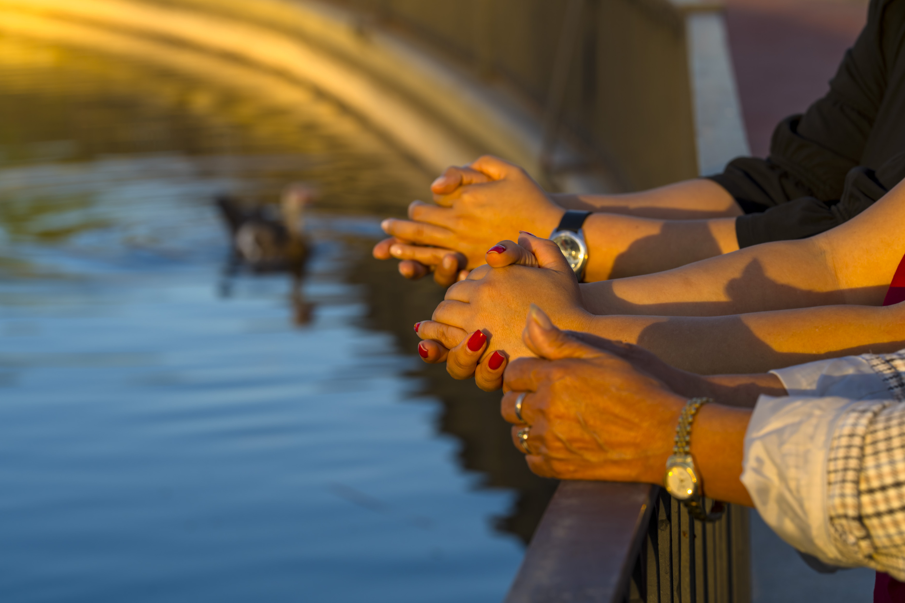 Documento de solicitud de regularización